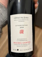 Michel Gahier La Vigne de Fort
