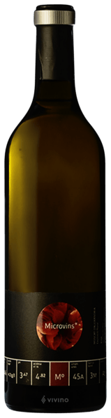 La Vinyeta Microvins Moscat d'Alexandria