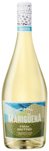 Viñas del Vero Marigüena N.V.