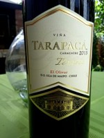 Tarapacá Terroir El Olivar Carmenère