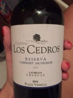 Gimenez Mendez Chateau Los Cedros Reserva Cabernet Sauvignon
