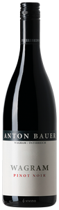 Anton Bauer Wagram Pinot Noir 2021