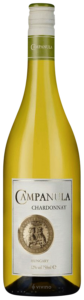 Campanula Chardonnay N.V.
