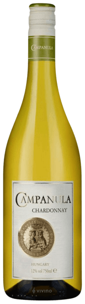 Campanula Chardonnay