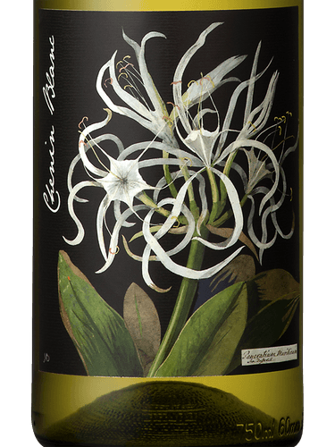 Chenin Blanc