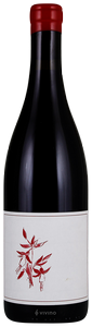 Arnot-Roberts Peter Martin Ray Vineyard Pinot Noir N.V.