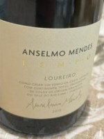 Anselmo Mendes Tempo Loureiro
