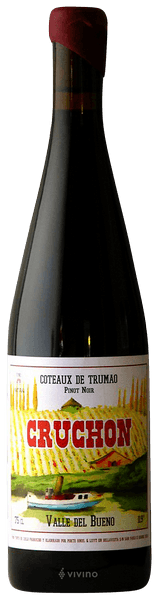 Louis-Antoine Luyt Cruchon Pinot Noir