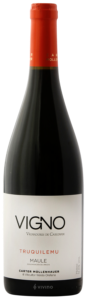 Carter Mollenhauer Vigno Vignadores de Carignan Truquilemu N.V.