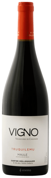 Carter Mollenhauer Vigno Vignadores de Carignan Truquilemu