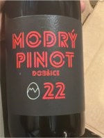 Martin Vajčner Vinařství Modrý Pinot
