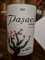 Paşaeli Kabuğunda Çakal
