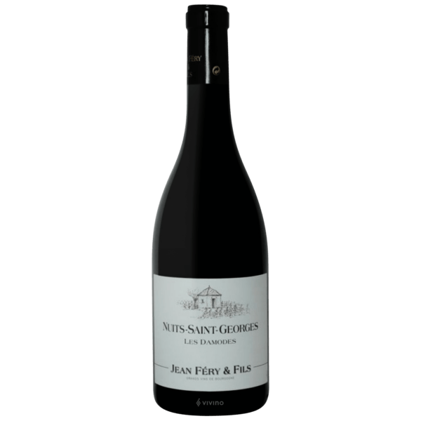 ワイン NUITS-SAINT-ES LES DAMODES 1993 nuits-saint-georges-les-