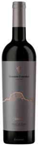 Dominio Fournier Reserva 2016