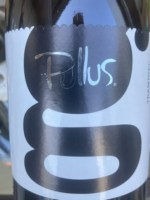 Pullus G Traminec Suho