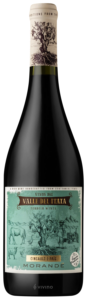 Morandé Terroir Wines Cinsault - Pais N.V.