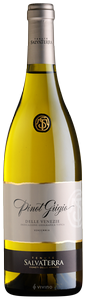 SalvaTerra Pinot Grigio N.V.