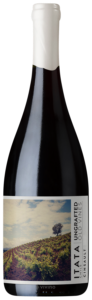 De Martino Ungrafted Old Vines Cinsault N.V.