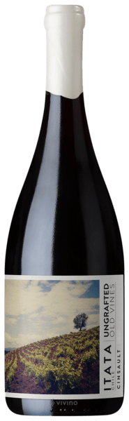 De Martino Ungrafted Old Vines Cinsault