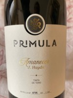 Prímula Amanecer Tinta de Toro
