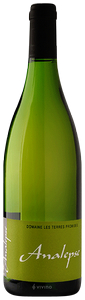 Domaine les Terres Promises Analepse N.V.