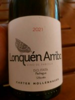 Carter Mollenhauer Lonquén Arriba