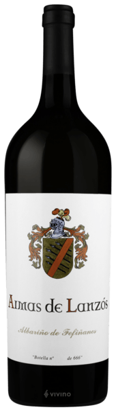 Fefiñanes Armas de Lanzós Magnum