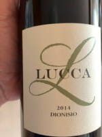 Lucca Dionisio