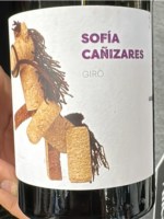 Volver Sofía Cañizares Giró