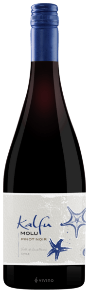 Vinho Ventisquero Tinto Seco Chile Kalfu Pinot Noir 2023 750ml