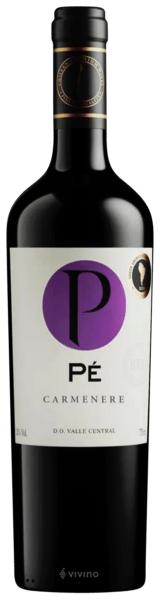 Vinho Pé Tinto Seco Chile Carménère 2024 750ml