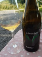 Zeni Schwarzhof Nosiola