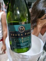 Vinho Terra Fiel Branco Seco Brasil Terroir Chardonnay 2023 750ml