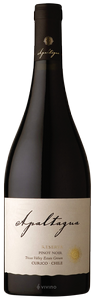 Apaltagua Pinot Noir Reserva 2022