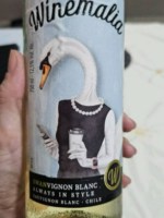 San Pedro Winemalia Swanvignon Blanc