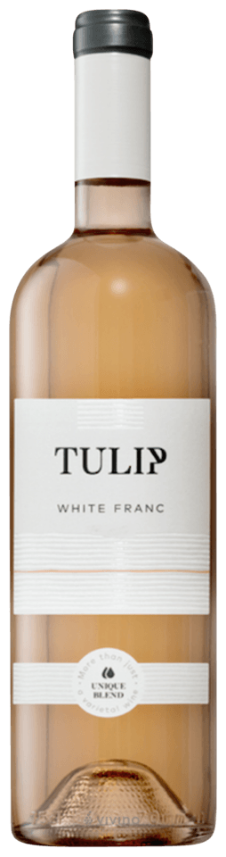 Tulip White Franc
