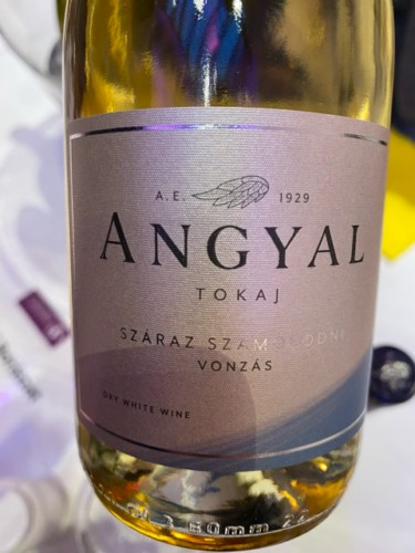 Angyal Vonzás Tokaji Szamorodni Száraz | Vivino English