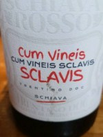 Cavit Cum Vineis Sclavis