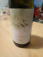 Kellerei Eisacktal - Cantina Valle Isarco Adler Sylvaner