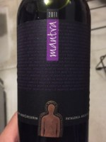 Secreto Patagónico Mantra Reserva Pinot Noir