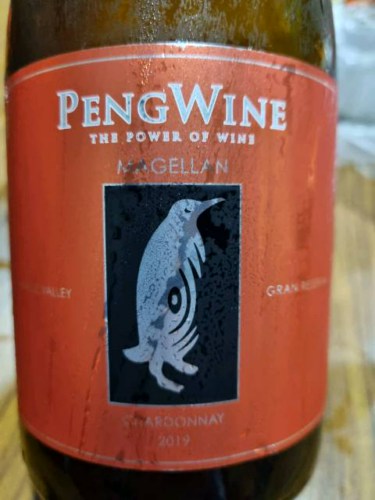 PengWine Magellan Gran Reserva Chardonnay | Vivino France