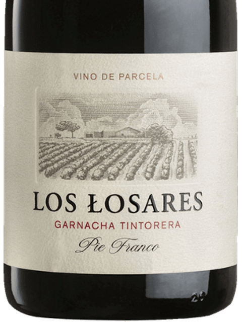 Bodegas Piqueras Los Losares Garnacha Tintorera | Vivino 日本語