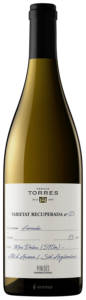 Familia Torres Forcada N.V.