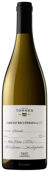Familia Torres Forcada