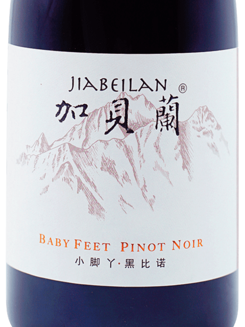 Helan Qingxue (贺兰晴雪) Jia Bei Lan Baby Feet Pinot Noir | Vivino