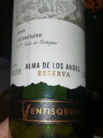 Ventisquero Alma de los Ande Reserva Carménère