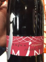 Bodega Emina Rosado Brut