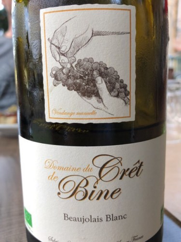 Vin Cuvée de François 2020 - Le Crêt de Bine, Beaujolais main image 1