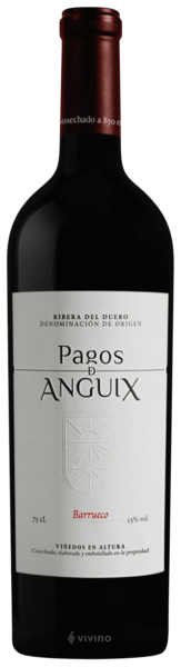 Juvé & Camps Pagos de Anguix Barrueco