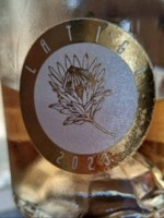 Lost Boy Latigo Rosé